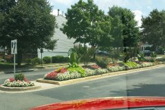 Commercial-Landscaping